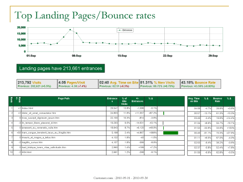 SEO Report Templates Word Excel Samples seo-report-templates-word-excel-samples