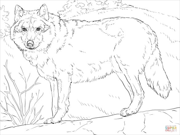 wolf template 20