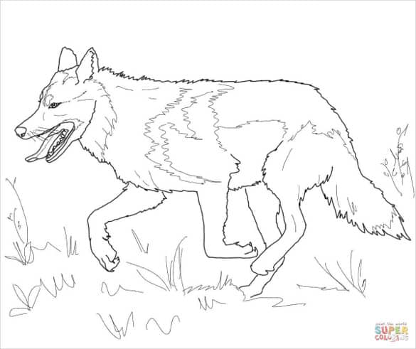 wolf template 40