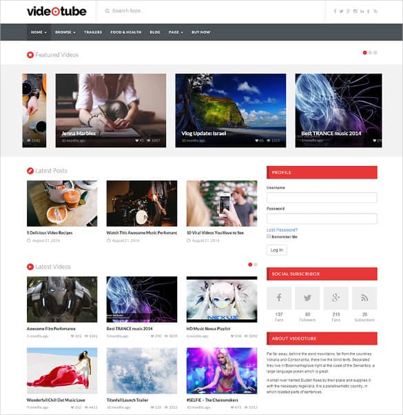 youtube wordpress themes 30