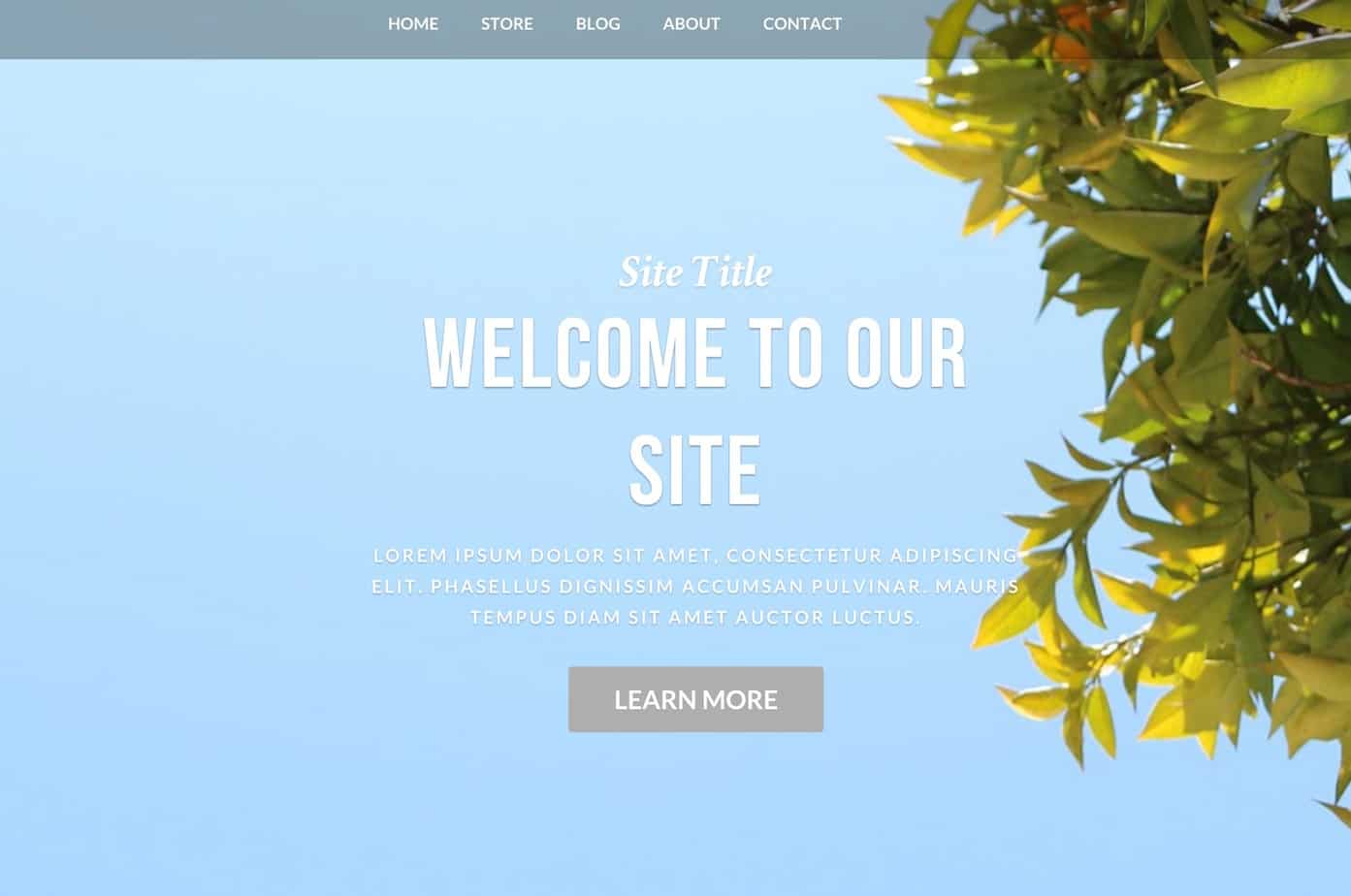 free weebly theme 10
