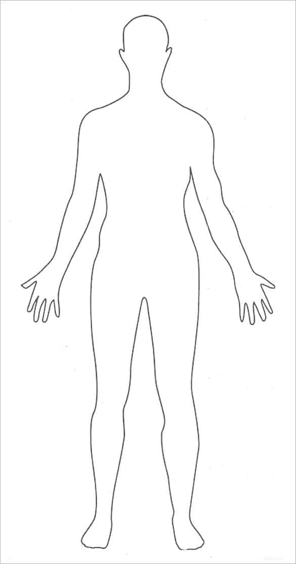 Human Body Outlines Word Excel Samples