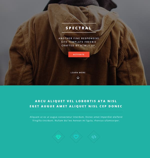 php website template 80