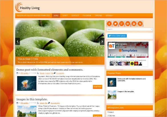 Grocery Shopping Website Templates 222