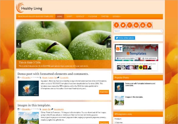 Grocery Shopping Website Templates 222