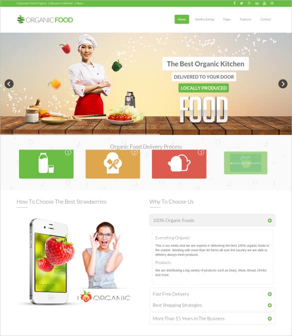 Grocery Shopping Website Templates 444