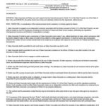 15+ Relationship Contract Templates - Word Excel Samples