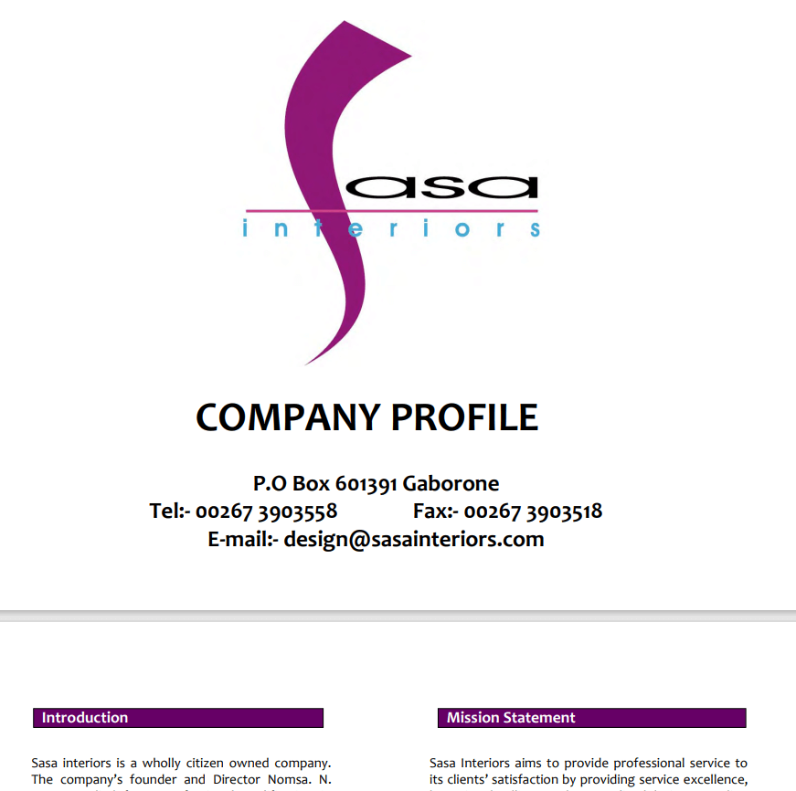 company profile sample pdf