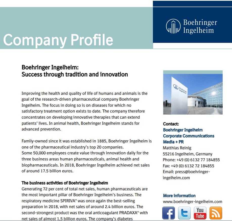 company profile sample pdf