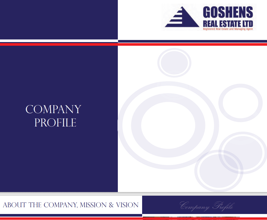 company profile sample pdf