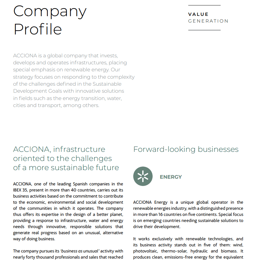 company profile sample pdf