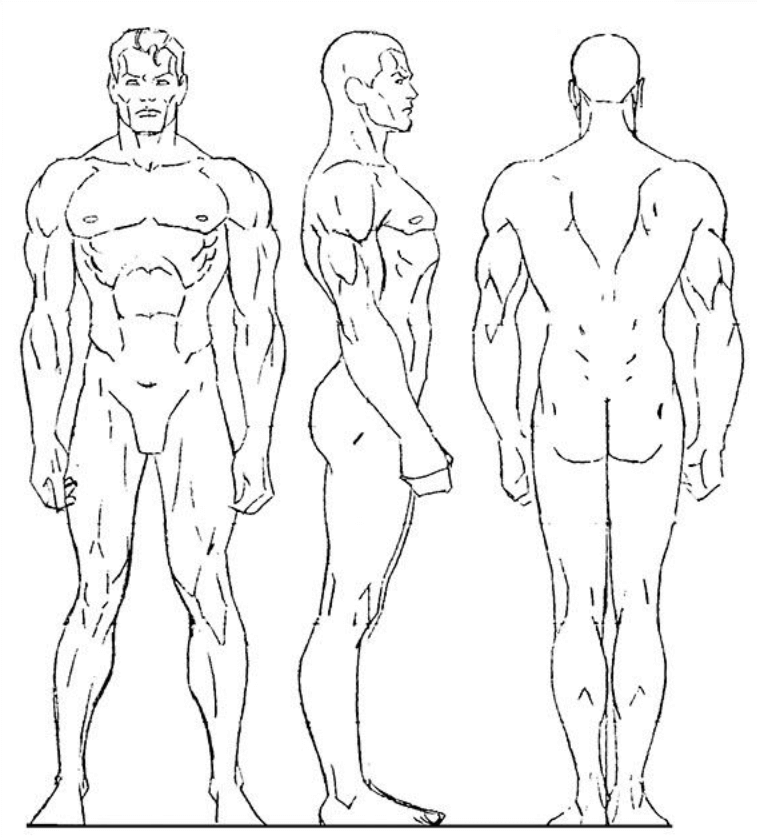 24+ Body Outline Templates - PDF, DOC