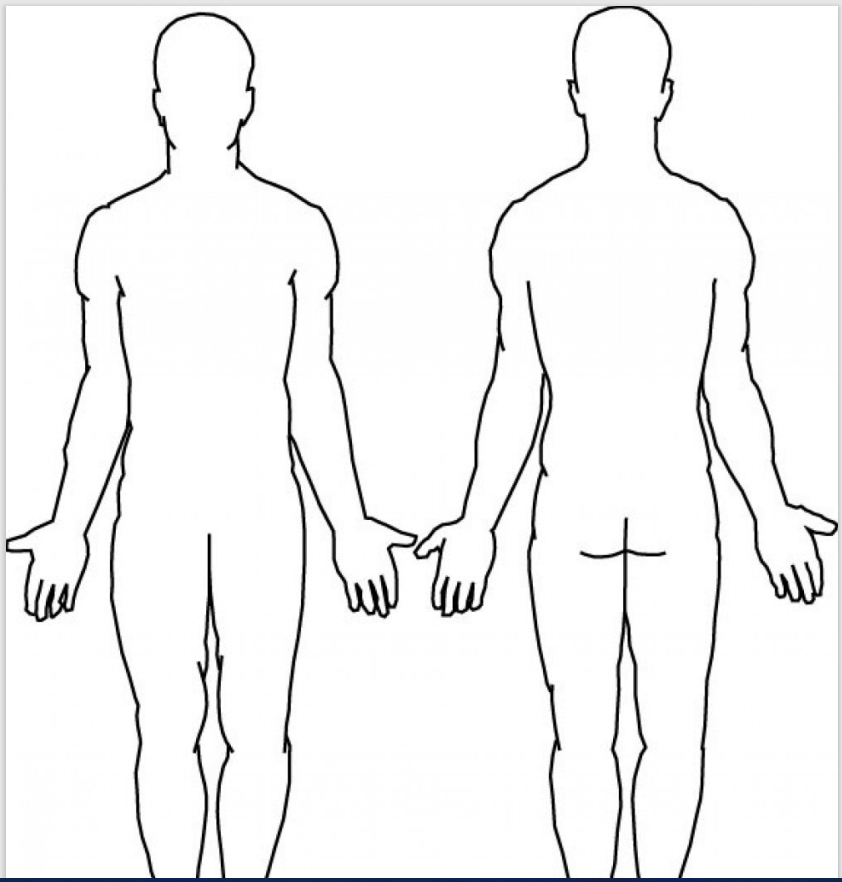 12+ Printable Human Body Outline Templates PDF - Word Excel Samples