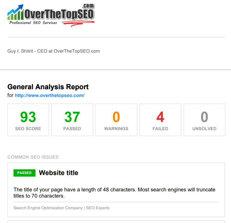 12+ BEST SEO Report Templates PDF Word Excel Samples